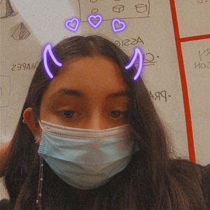 Meet your Posher, Mireya